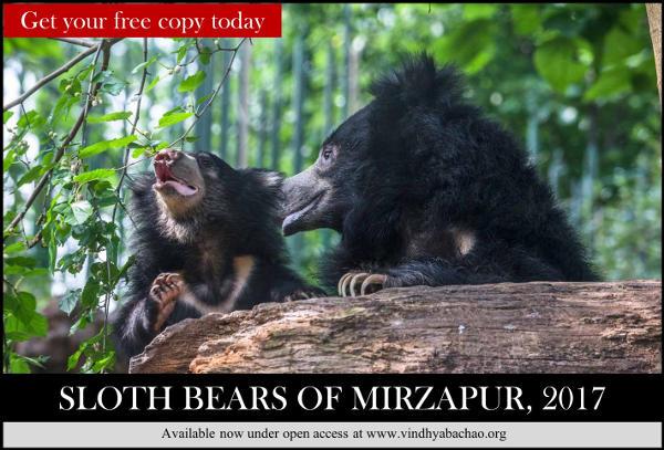 Sloth Bear Report Mirzapur-Download Report