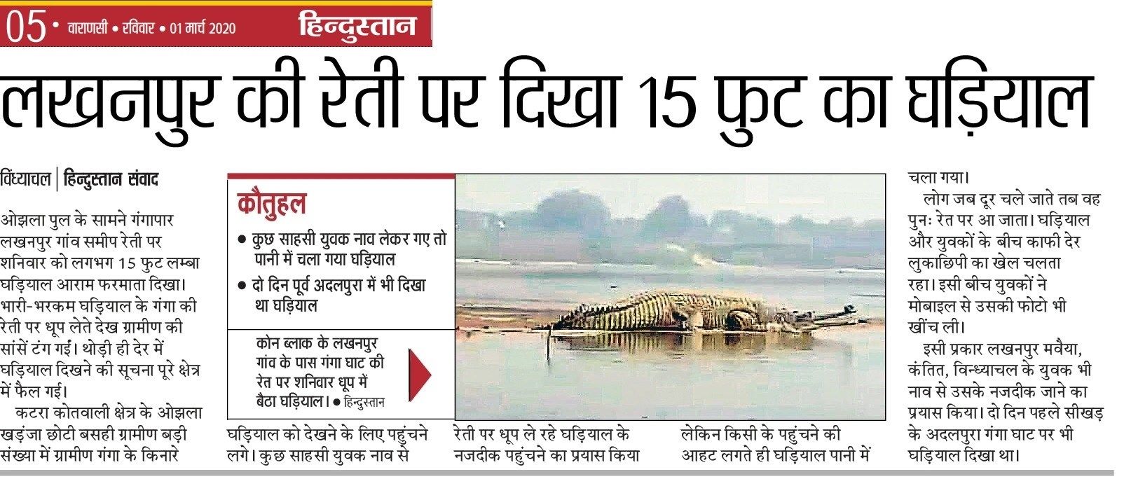 Gharial in Ganga