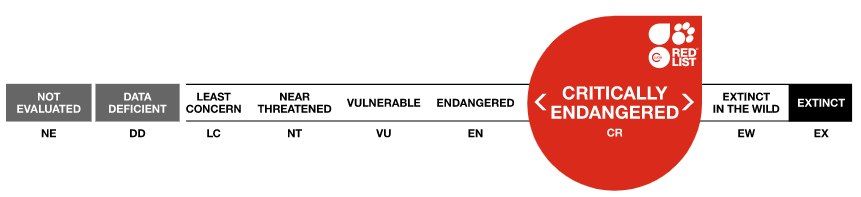 IUCN Red List CR