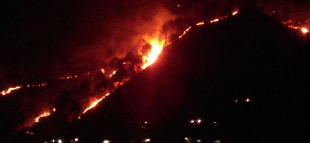 Fire in Drammadganj Forests (Photo: Amar Ujala)
