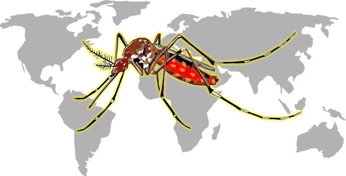 Image_Mosquito_Mapping