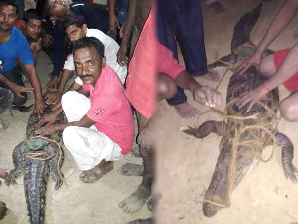 photo-mugger-rescue-jamalpur-mirzapur