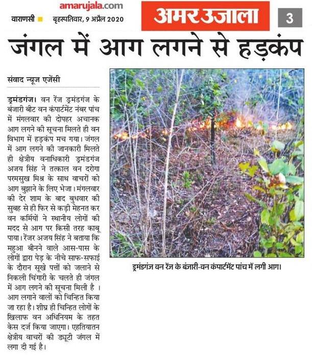 Amar ujala Forest fire april 2020