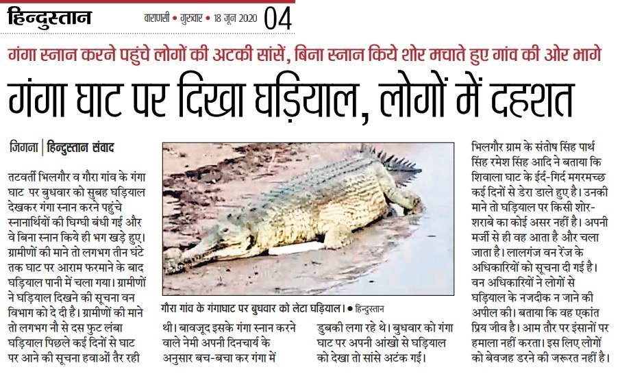 Gharial Gaura June 2020