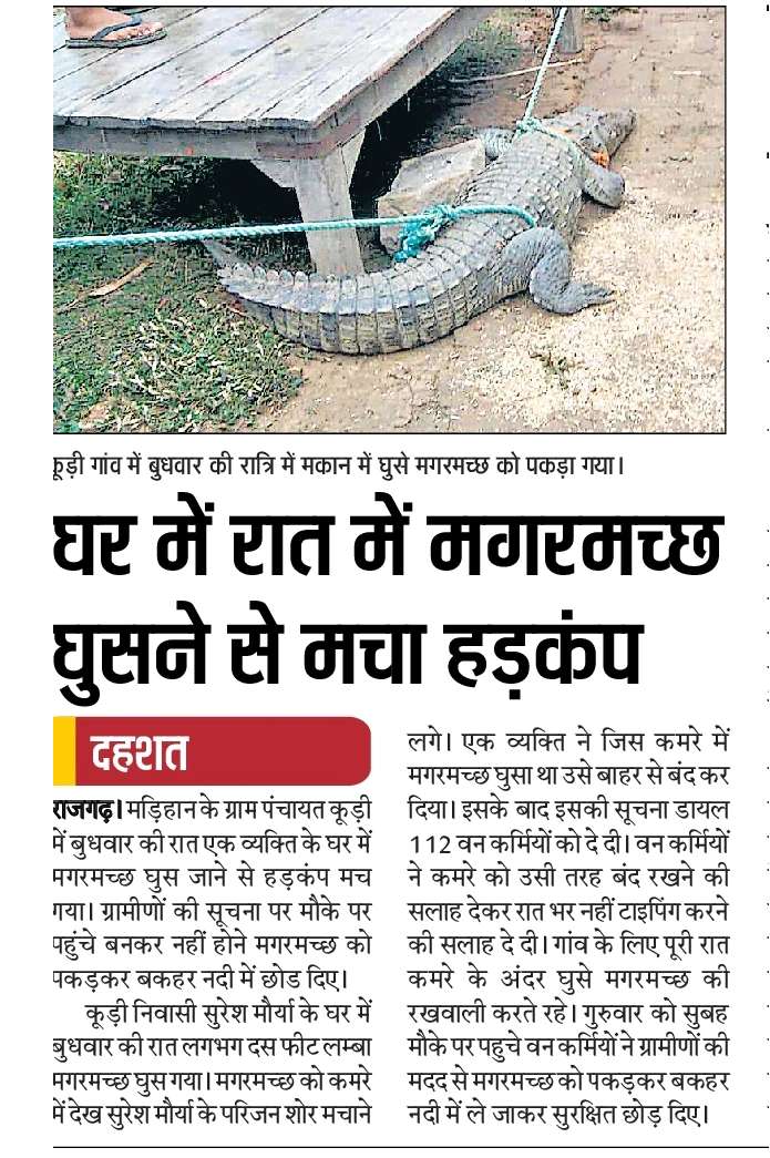 croc home hindustan