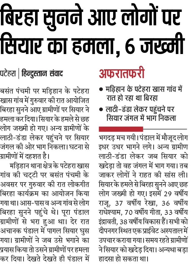jackal attack hindustan
