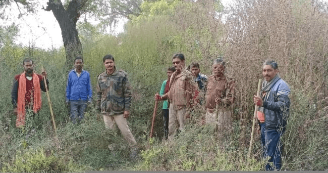 leopard search jagran