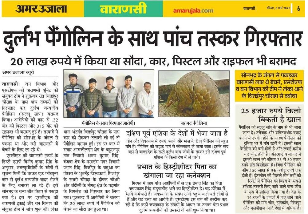 pangolin trade Amar Ujala