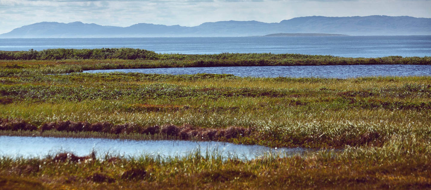 Image of a waterbody